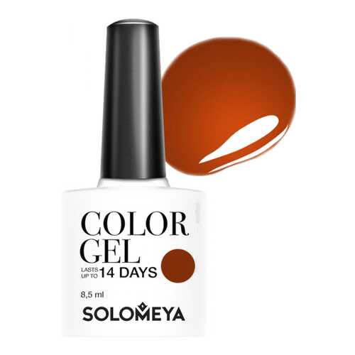 Гель-лак для ногтей Solomeya Color Gel Пряная корица в Улыбка Радуги